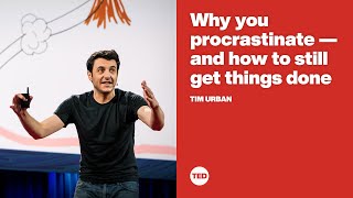 Why you procrastinate  and how to still get things done  Tim Urban [upl. by Mcmahon]