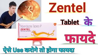 Zentel Tablet Ke Benefits ll जेंटल टेबलेट पेट के कीड़े की दवा ll Use Karne Ka Sahi Tarika ll [upl. by Idette]