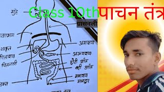 Class 10th science manav pachan tantra  Manav pachan tantra ki sanrachana [upl. by Ehcropal]