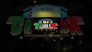 ESPECIAL BANDAS DJ COLIAS [upl. by Oalsecnew]