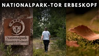 Erkundung vom NationalparkTor Erbeskopf  Ein Tag im Nationalpark HunsrückHochwald [upl. by Nue]