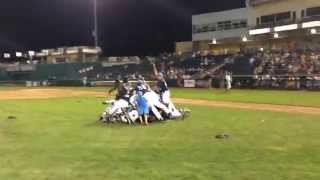 BASEBALL North Penn celebrates winning the PIAA AAAA title [upl. by Nerak]