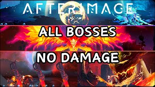 Afterimage  All Bosses No Damage Trial of Soul [upl. by Alleen]