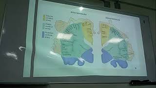 FISIOLOGIA FISIOPATOLOGIA FASE 2 PRACTICA 1 Y 2 [upl. by Hazmah757]