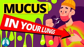 7 Causes of Increased Mucus in Your Lungs Clearing Congestion [upl. by Eixela]