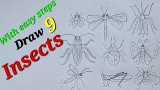 Insects drawing easy draw housefly Draw mosquito Draw honey bee Draw lady bug Draw dragonfly [upl. by Ymeraj]