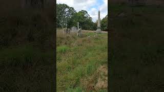 Cemetery Overgrown  Albany Rural Cemetery cemetery [upl. by Pardew]