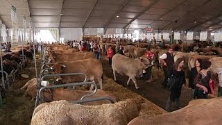 Salon de lélevage les agriculteurs remontés [upl. by Aroved]