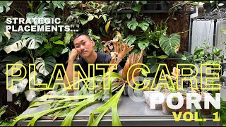 Extreme Plant Care Focusing On Placement Organization and Repotting  Plant Care Porn Vol 1 [upl. by Zuliram]