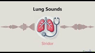 Lung Sounds Stridor [upl. by Suoicerp]