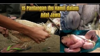 Inilah 15 Pantangan Ibu Hamil dalam Adat Jawa Yang Harus Anda Ketahui [upl. by Minier907]