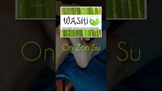 STUDIO WASHI RIFLESSOLOGIA PLANTARE ED ON ZON SU [upl. by Aciram732]