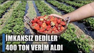 İmkansız Yetişmez Dediler 400 Ton Verim Aldı quotBüyük Talep Varquot  AGRO TV HABER [upl. by Ebag]