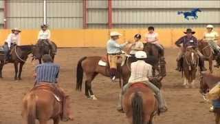 Buck Brannaman Horse Rush TV Australia Part 2 [upl. by Gnus]