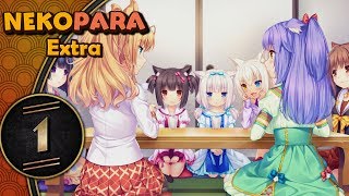 Nekopara Extra PC Blind Lets Play  Scared Kitties  Part 1 [upl. by Nylicaj528]