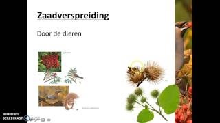 Bloemen vruchten en zaden  Verspreiding van zaden [upl. by Aikemal187]