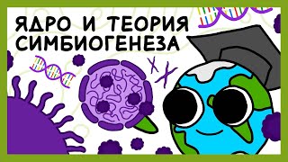 Ядро Теория симбиогенеза Строение клетки Клеточная биология  ЕГЭ и ОГЭ по биологии 2025 [upl. by Rebmeced420]