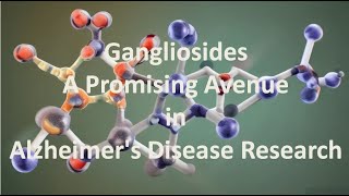 Gangliosides A Promising Avenue in Alzheimers Disease Research [upl. by Ecnaled3]