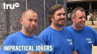 Impractical Jokers  Sal Delivers a Baby Cow Punishment  truTV [upl. by Gney544]