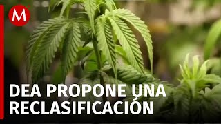 EU reclasifica la mariguana como droga de bajo riesgo [upl. by Ymot322]