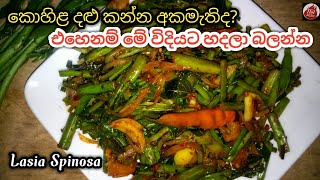 බඩ පිරෙන්න බත් කන්න කොහිළ දළු මෙහෙම හදන්න kohila dalu recipe Lasia spinosa kohila dalu themparadu [upl. by Celestine307]