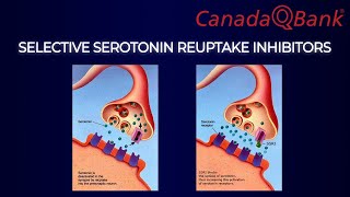 Selective Serotonin Reuptake Inhibitors SSRIs [upl. by Adiuqram]