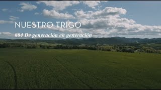 Nuestro trigo  04 De generación en generación [upl. by Aicat39]