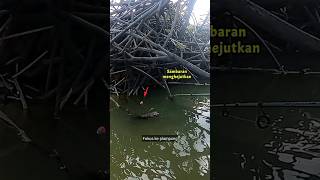 Fokus ke plampung Sambaran mengejutkan di depan mata mancing fishing [upl. by Jasmine]