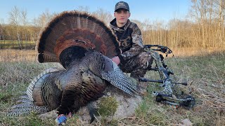 Turkey Hunting Minnesota With A Bow [upl. by Hainahpez]