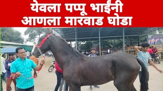 येवला मंगळवार बाजार पप्पू भाई यांनी पुष्कर वरून आणला मारवाड घोडा  yeola horse market [upl. by Muriel]