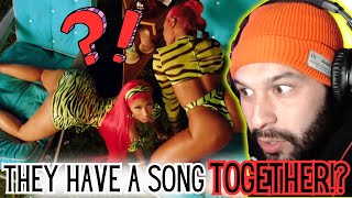 MEGAN AND NICKI HAVE A COLLAB 😱 quotHot Girl Summerquot Megan Thee Stallion x Nicki Minaj Reaction [upl. by Milah]