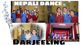 DUBO PHULYO  Nepali Dance Cover by PRABHAT TARA GIRLS Darjeeling  Loreto Darjeeling jubilee [upl. by Talyah779]