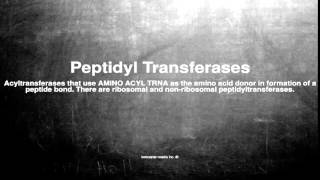 Medical vocabulary What does Peptidyl Transferases mean [upl. by Kcod616]