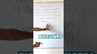 What is Phylloclade viralbiology biology botany taxonomy [upl. by Fanchon]