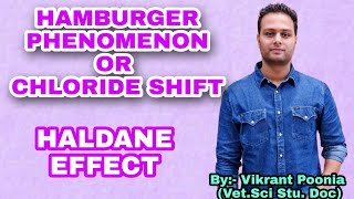 Hamburger Phenomenon Chloride Shift  Haldane Effect  Transport of CO2 Class11th NEET Biology [upl. by Burrow143]