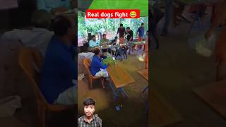 dogs fighting sound effect 😂  real dogfight funny shorts viralvideo trending [upl. by Gladdie]