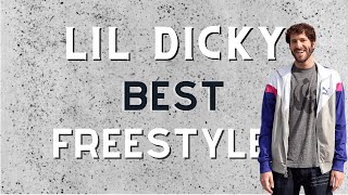 Lil Dicky Freestyle Compilation Best Freestyles [upl. by Shellans]