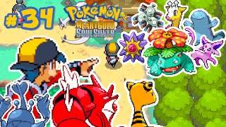 34 Heracross Gyarados e Ampharos detonando Batalhas a caminho da Liga Pokémon [upl. by Diahann]