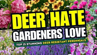 🦌🚫 DEER HATE GARDENERS LOVE Top 15 Stunning DeerResistant Perennials 🌸💥 [upl. by Aikal]