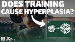 Does Training CAUSE Hyperplasia [upl. by Stutsman]