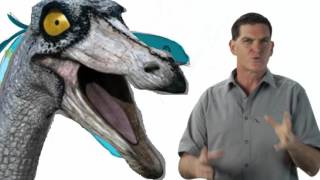 Dinosaur Discoveries Ornithomimus [upl. by Eitteb]