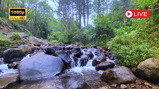 Gentle Water Flow for Sleep Aid and Stress Relief [upl. by Nortal301]