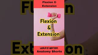 Flexion and Extension shorts [upl. by Leohcin]