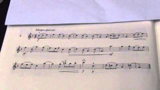 Violin Grade 5 Sight Reading No 2 Allegro giocoso [upl. by Urita214]