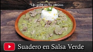 Suadero en Salsa Verde [upl. by Dion]