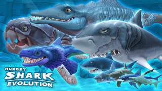 ALL SHARKS GAMEPLAY MONTAGE Hungry Shark Evolution  HD [upl. by Ijies]