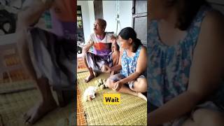 Kaya banana Diya😆😄shorts shortvideo funnyvideo funny [upl. by Claudina]