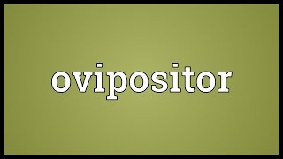 Ovipositor Meaning [upl. by Jenilee668]