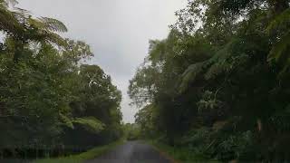 Ile de la Réunion route forestière de Bélouve [upl. by Leia]