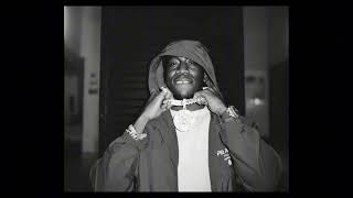 FREE Shawny Binladen X B Lovee Sample Type Beat  quotpradaquot [upl. by Furiya]